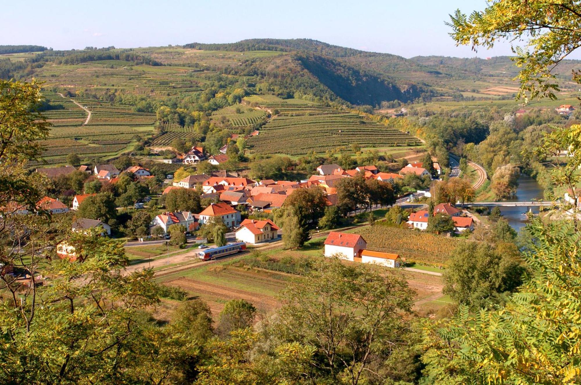 Hotel Zur Schonenburg Schönberg am Kamp Eksteriør billede